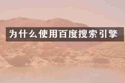 为什么使用百度搜索引擎