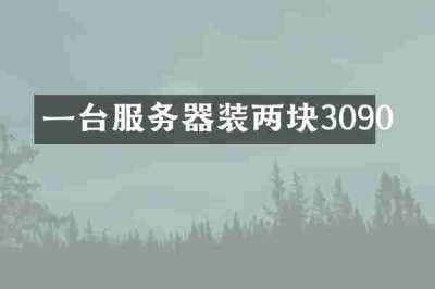 一台服务器装两块3090