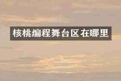 核桃编程舞台区在哪里