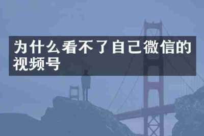 为什么看不了自己微信的视频号