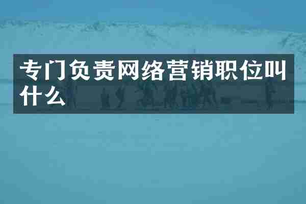 专门负责网络营销职位叫什么