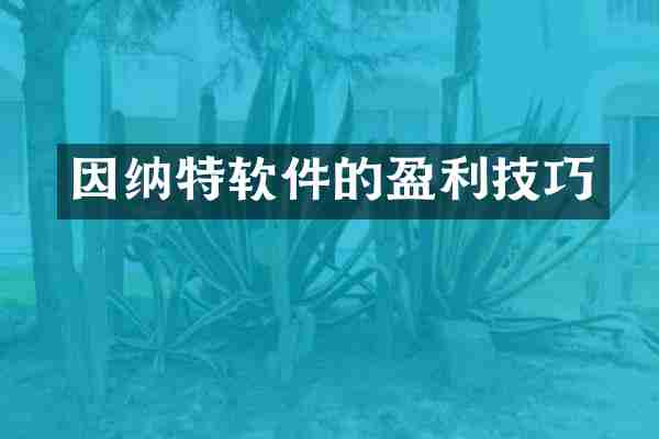 因纳特软件的盈利技巧