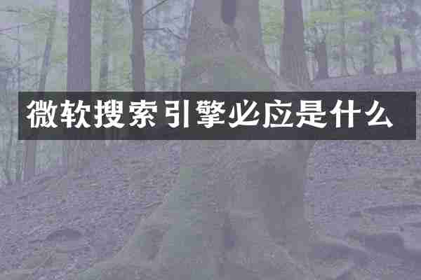 微软搜索引擎必应是什么