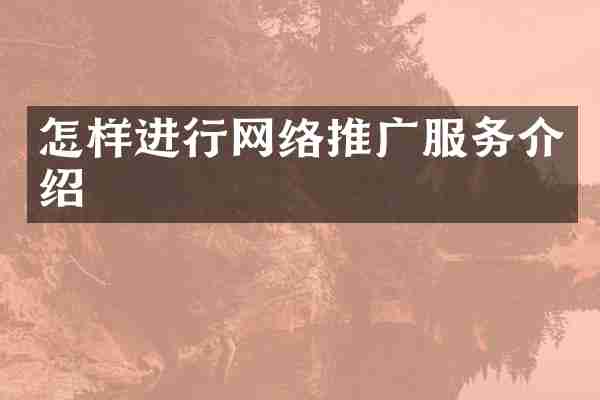 怎样进行网络推广服务介绍