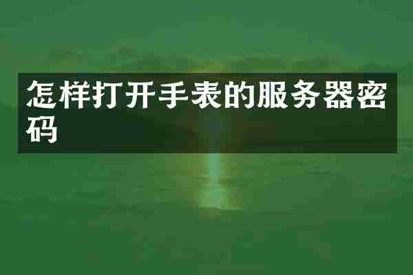 怎样打开手表的服务器密码