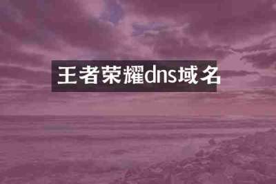 王者荣耀dns域名