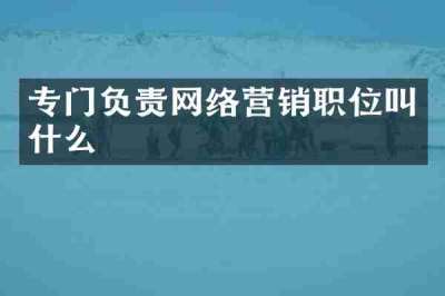 专门负责网络营销职位叫什么