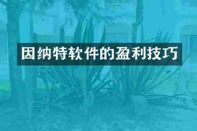 因纳特软件的盈利技巧