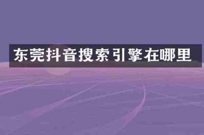 东莞抖音搜索引擎在哪里