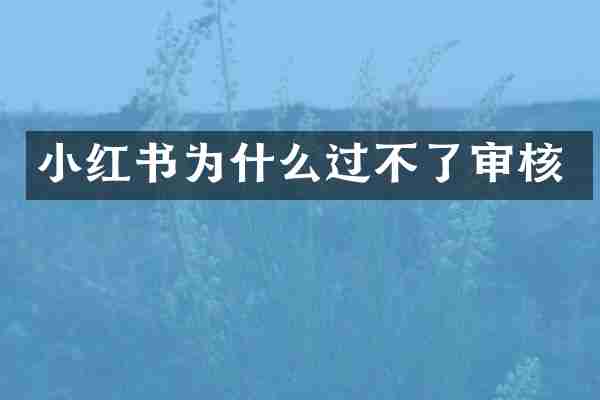 小红书为什么过不了审核