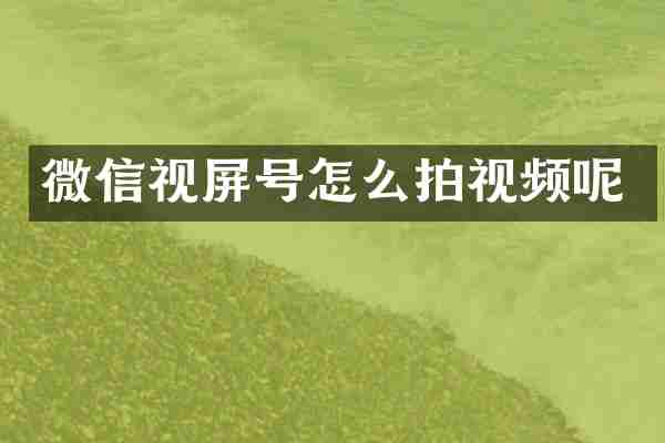 微信视屏号怎么拍视频呢
