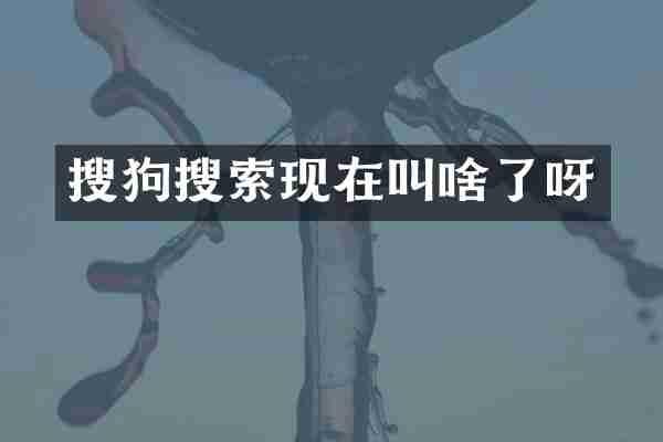 搜狗搜索现在叫啥了呀