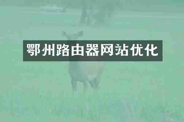 鄂州路由器网站优化