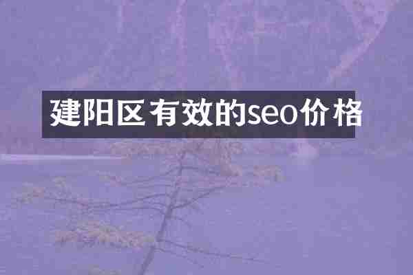 建阳区有效的seo价格