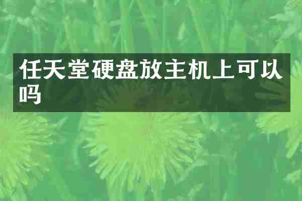 任天堂硬盘放主机上可以吗