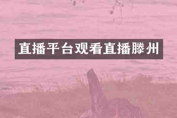 直播平台观看直播滕州