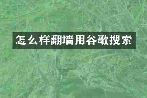 怎么样用谷歌搜索