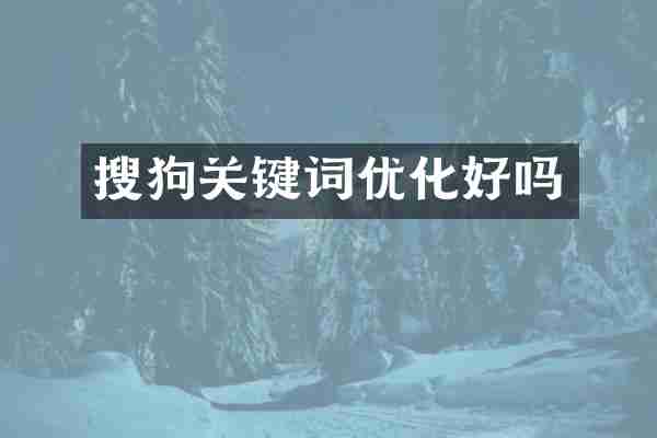 搜狗关键词优化好吗