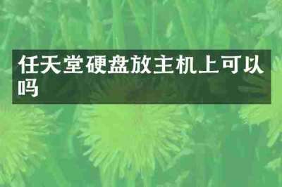 任天堂硬盘放主机上可以吗