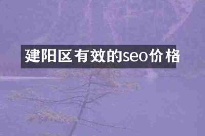 建阳区有效的seo价格