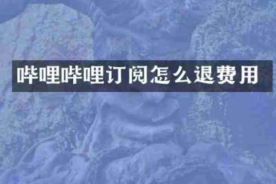 哔哩哔哩订阅怎么退费用