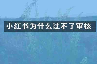小红书为什么过不了审核
