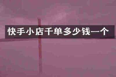 快手小店千单多少钱一个