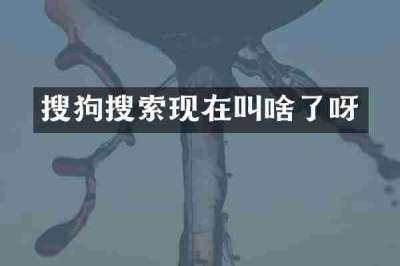 搜狗搜索现在叫啥了呀