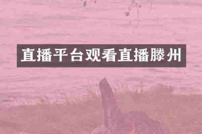 直播平台观看直播滕州