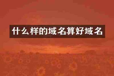什么样的域名算好域名