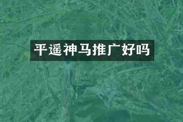 平遥神马推广好吗