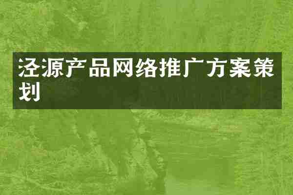 泾源产品网络推广方案策划