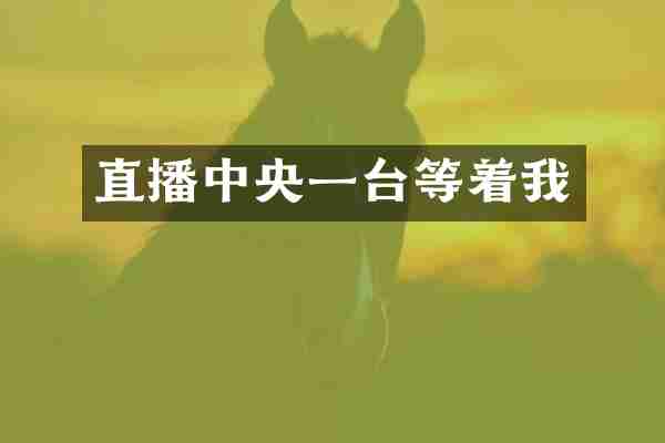 直播中央一台等着我