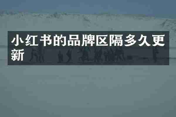 小红书的品牌区隔多久更新