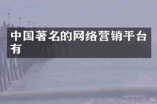 中国著名的网络营销平台有