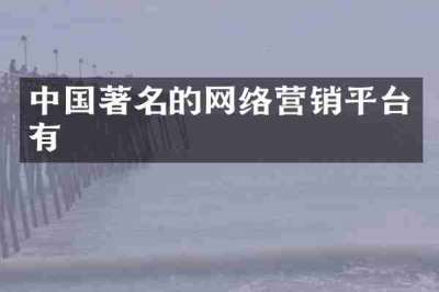 中国著名的网络营销平台有