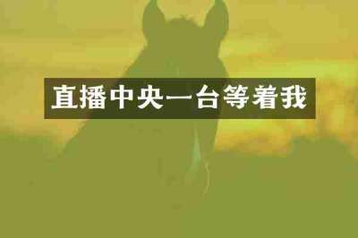 直播中央一台等着我