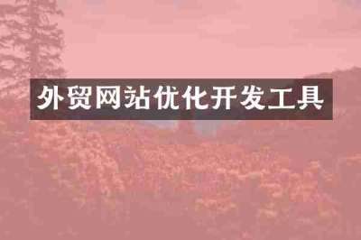 外贸网站优化开发工具