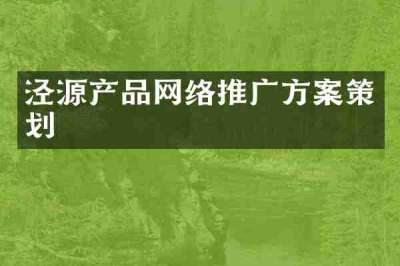 泾源产品网络推广方案策划