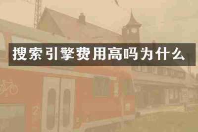 搜索引擎费用高吗为什么