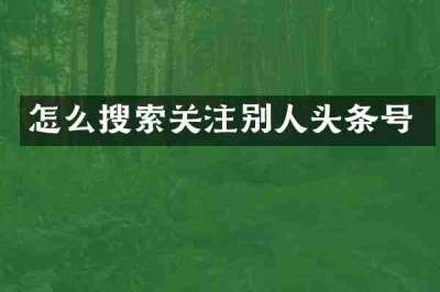 怎么搜索关注别人头条号