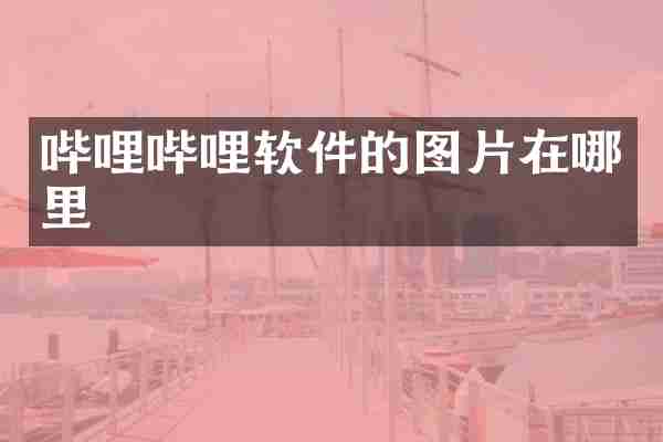 哔哩哔哩软件的图片在哪里