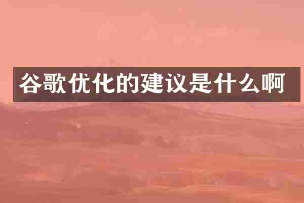 谷歌优化的建议是什么啊