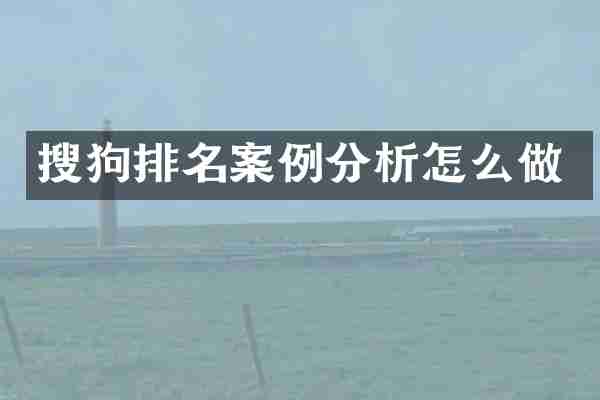 搜狗排名案例分析怎么做