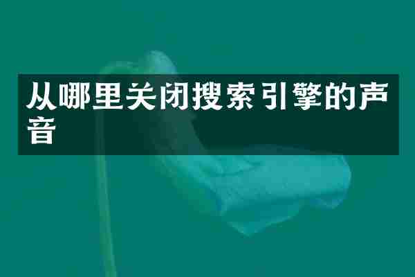 从哪里关闭搜索引擎的声音