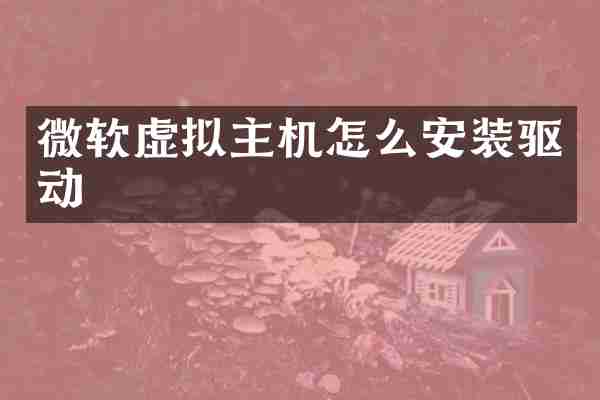 微软虚拟主机怎么安装驱动