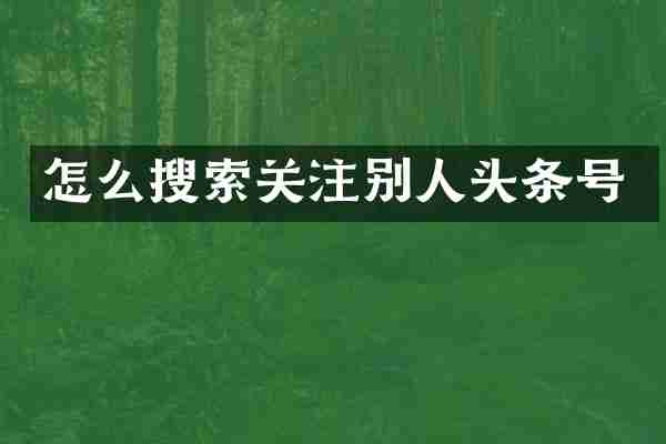 怎么搜索关注别人头条号