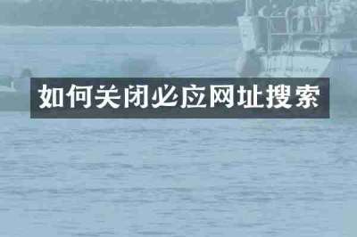 如何关闭必应网址搜索