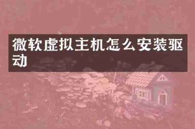 微软虚拟主机怎么安装驱动