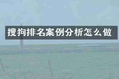 搜狗排名案例分析怎么做